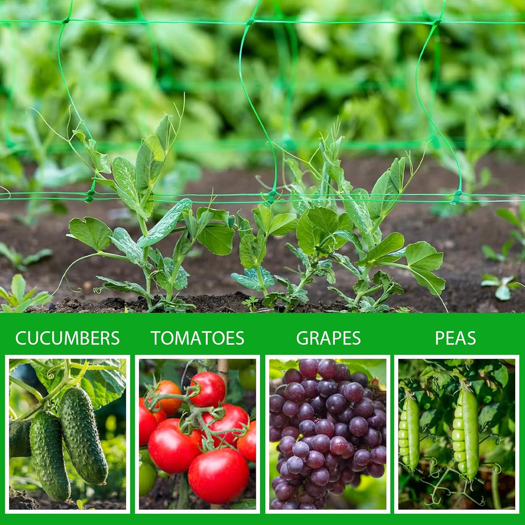 Toolazy Trellis Netting 79" x328' Green - Heavy Duty 6" Mesh Plant Support Net for Climbing Vegetables, Garden Trellis