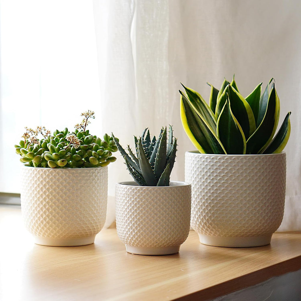 4 + 5 + 6 Inch Ceramic Pots for Indoor Plants, Succulents Plant Pots, Orchid Flower Pot with Drainage Hole, Modern Clay