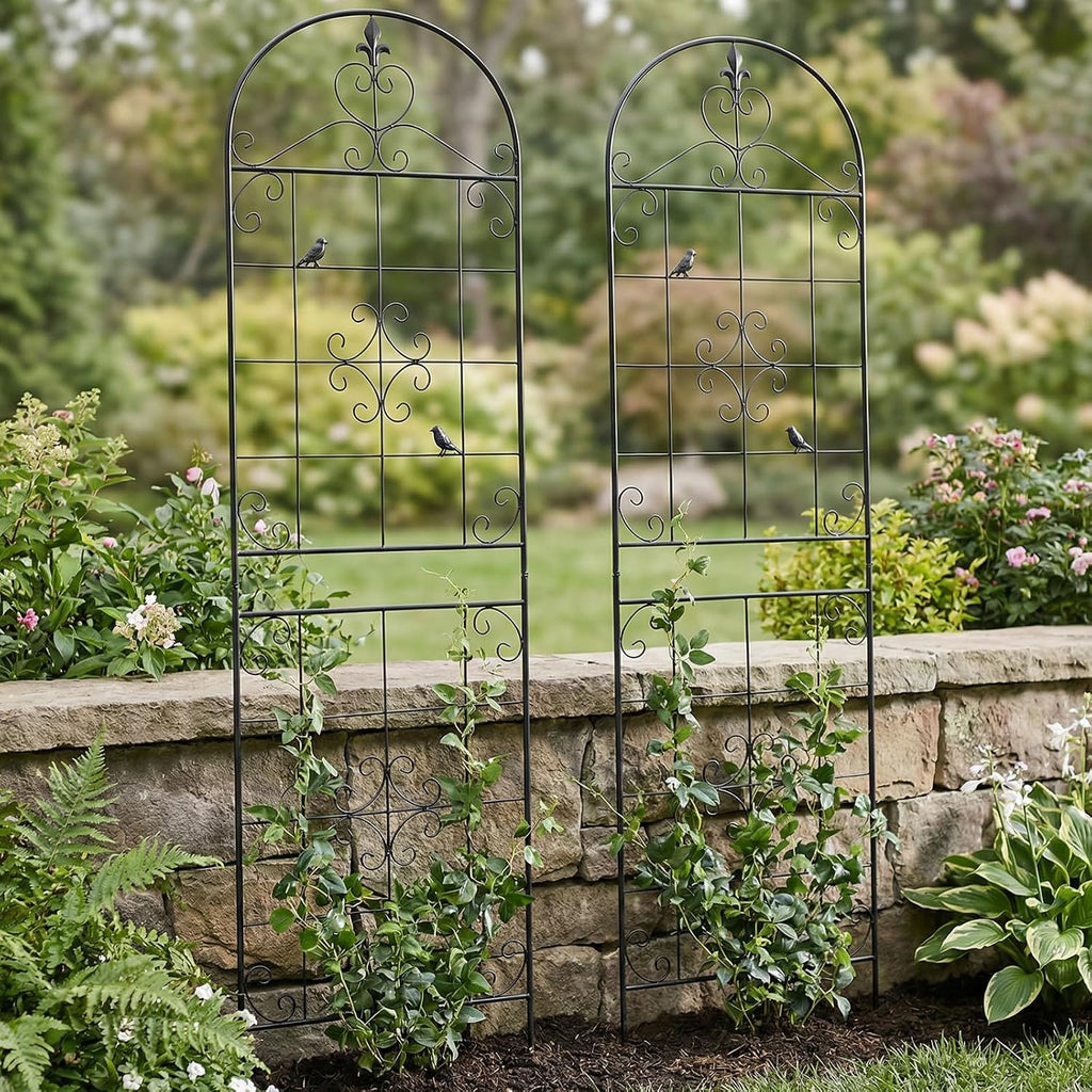 70.8" Black Metal Garden Trellis for Climbing Plants, 2 Pack | Rustproof steel lattice supports roses, clematis