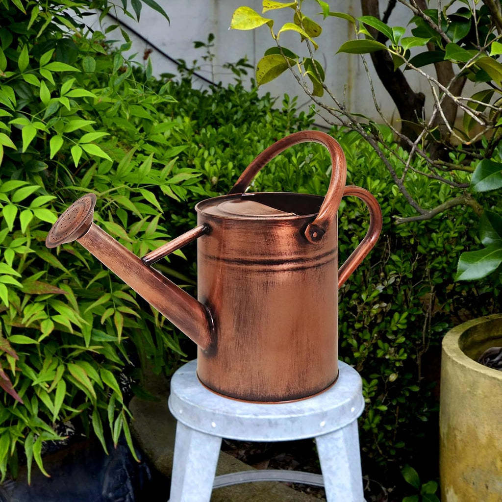 Metal Watering Can with Removable Spout, Galvanized Watering Can, Perfect for Indoor Use and for Outdoor Use (1