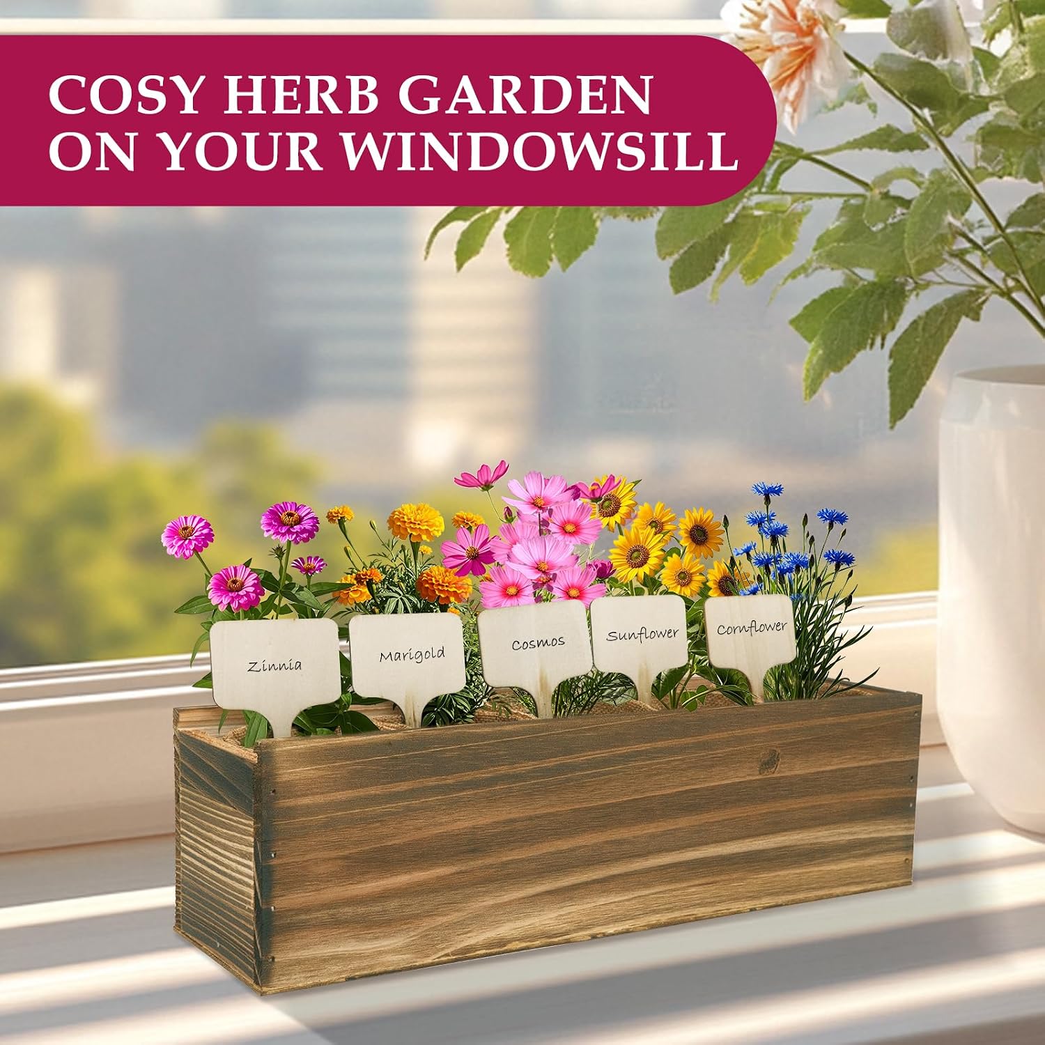 5 Indoor Flowers Growing Kit for Beginners, Complete Planting Starter Set with Zinnia, Cosmos, Sunflower, Marigold