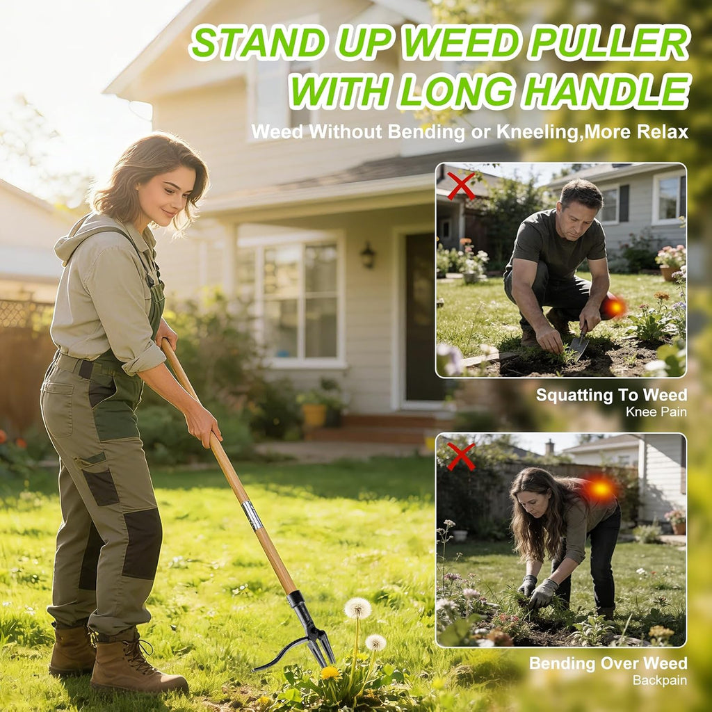 Stand Up Weed Puller Tool, Real Bamboo Long Handle 4-Claw Steel Head Weeder | 31"-44.5" Adjustable Height, Heavy Duty