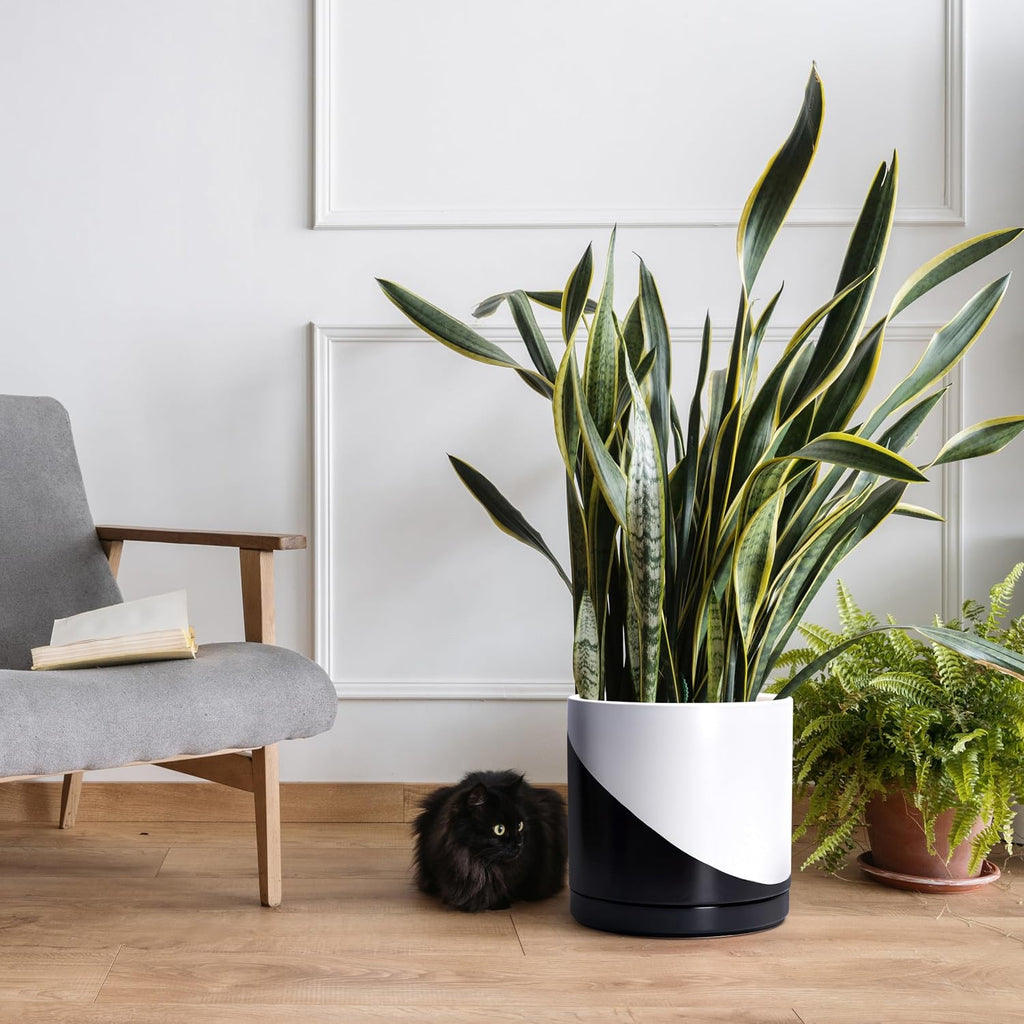 D'vine Dev 12 Inch Ceramic Planter Pot, Black White Diagonal, 94-O-F-K | Modern Cylinder Design, Drainage Hole & Saucer