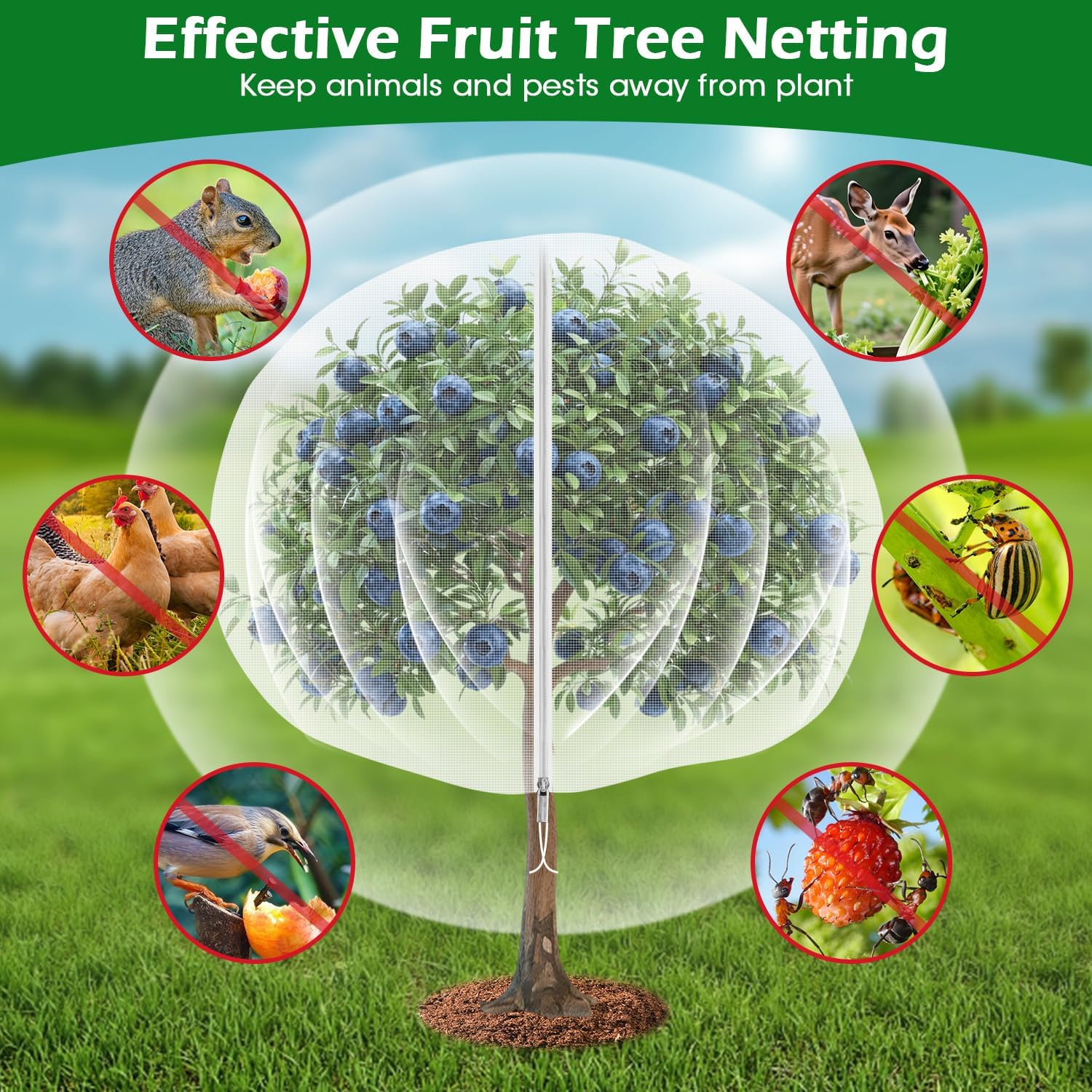 10'x10' Fruit Tree Netting Cover with Zipper and Drawstring | Ultra-Fine Mesh Garden Plant Insect Pest Net Barrier to
