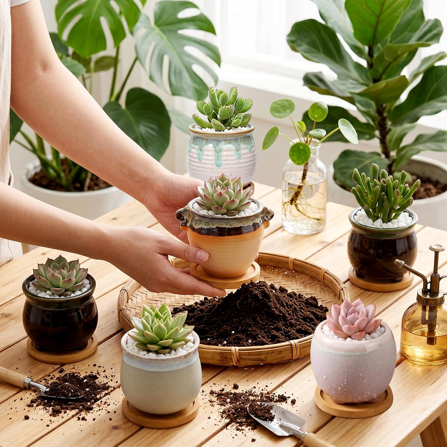 3.5 Inch Succulent Pot with Drainage,Planting/Flower Pots | Small Planter Pot for Mini Plant Ceramic Flowing Glaze Base