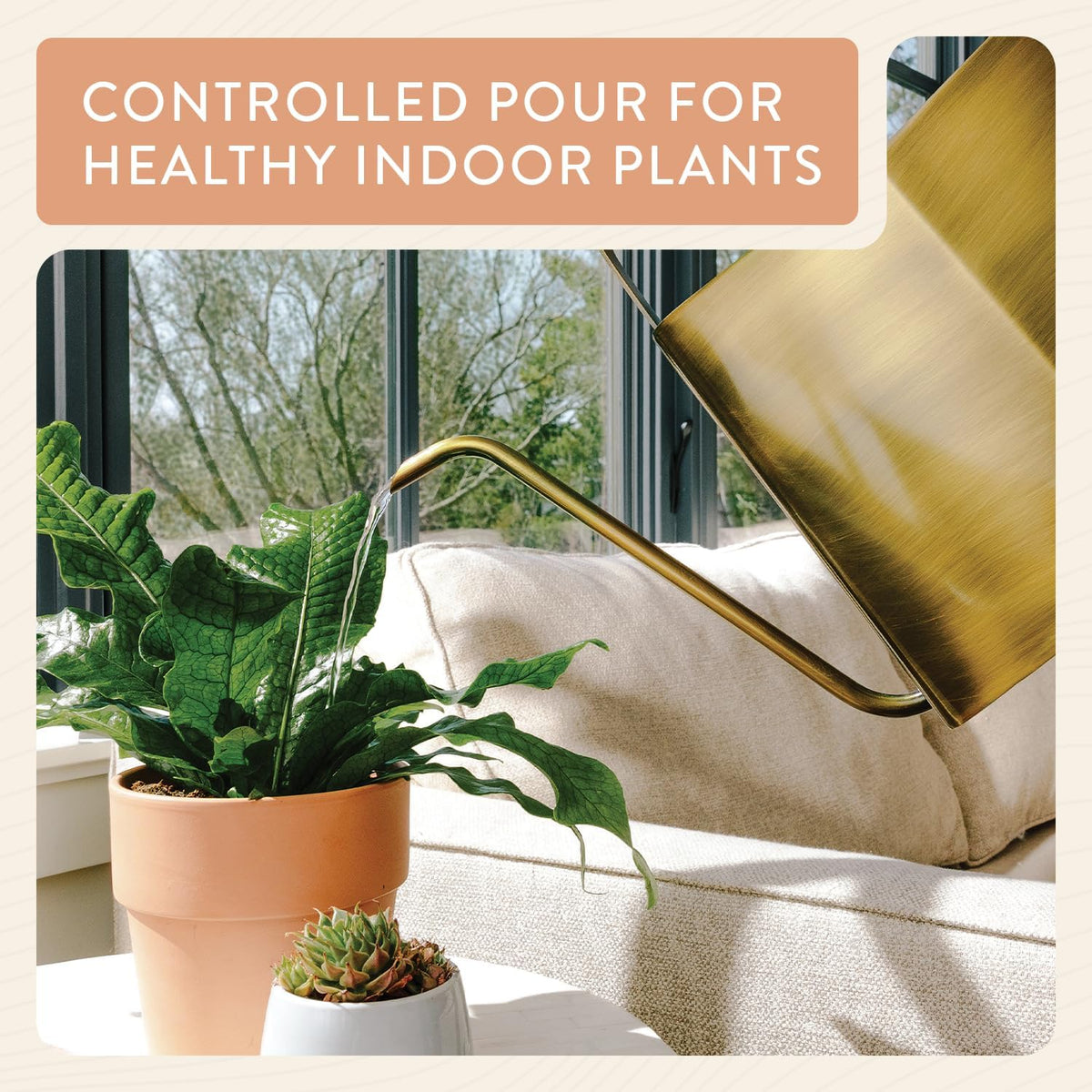 Modern Sprout Brass Plant Watering Can - 3L Stainless Steel - Long Spout | Large Rust Resistant Vessel - Ideal for