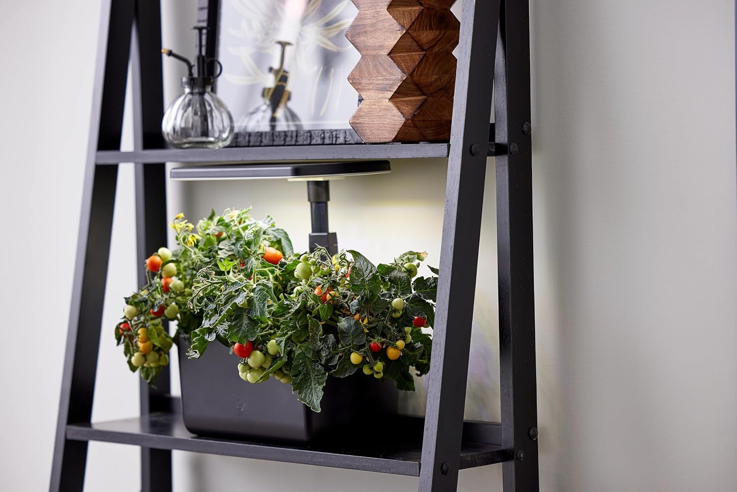 AeroGarden Harvest Lite, Black | Soil-free Indoor Hydroponic Garden with LED Grow Light for Year-Round Gardening of up