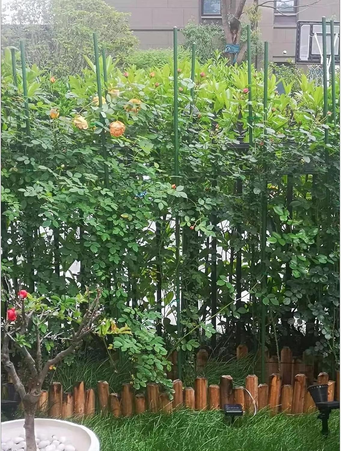 G-LEAF Garden Stakes 5 ft Plastic Coated Steel Tube Sturdy Metal Plant Sticks for Tomato,Cucumber,Bean,Tree,Pack of 25