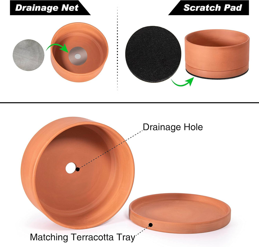 D'vine Dev Terracotta Shallow Planter Pot with Saucer, 8 in, 40-Y-A-0 | Wide Bowl Design, Unglazed Terracotta, Porous &