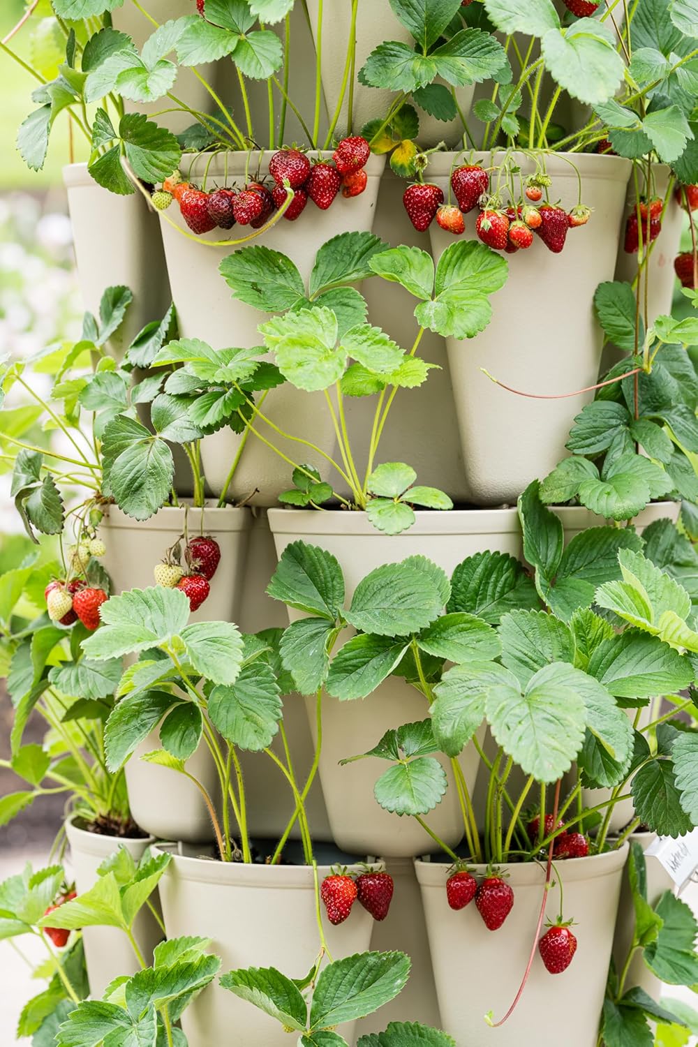 Patented Large 5 Tier Vertical Garden Planter with Patented Internal Watering System Great for Growing a Variety of