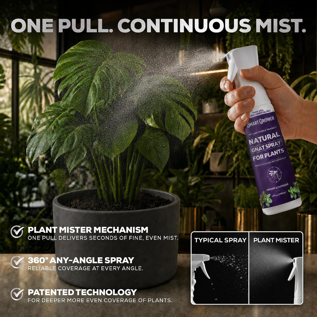 Natural Gnat Spray for Plants, Continuous Fine Mist, 10oz | Fungus Gnat Killer, Refillable, with Essential Oil Formula