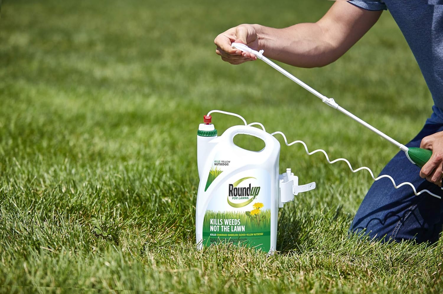 Roundup For Lawns1 Ready to Use - All-in-One Weed Killer for Lawns, Kills Weeds - Not the Lawn, One Solution for