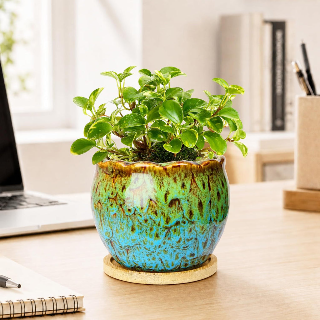 ARTKETTY Succulent Pots, 4 Inch Plant Pots with Drainage Tray | Small Ceramic Pots for Indoor Plants Set of 4, Round