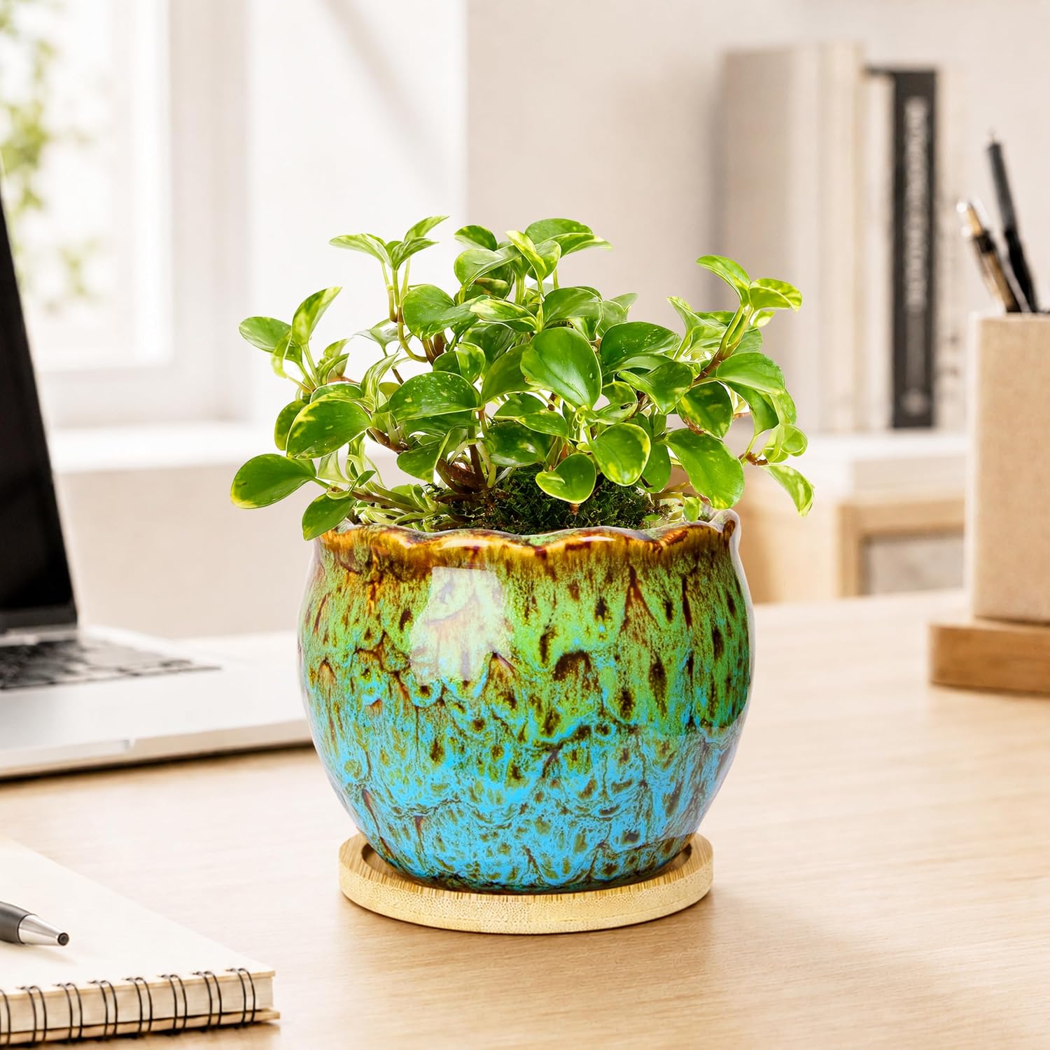 ARTKETTY Succulent Pots, 4 Inch Plant Pots with Drainage Tray | Small Ceramic Pots for Indoor Plants Set of 4, Round