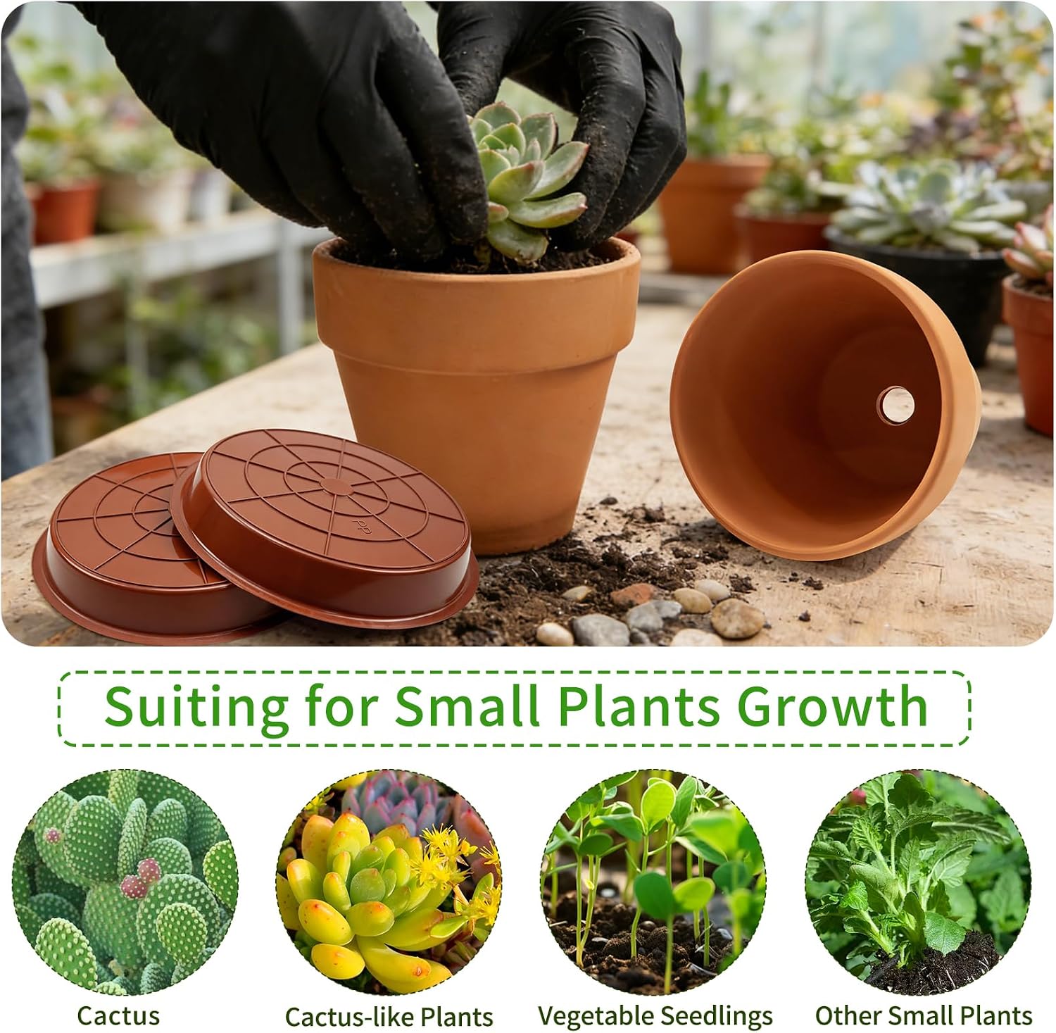 6 Pack 6 Inch Terracotta & Clay Pots with Saucer for Plants, Breathable Clay Planters Flowerpot Terra Cotta Flowerpot