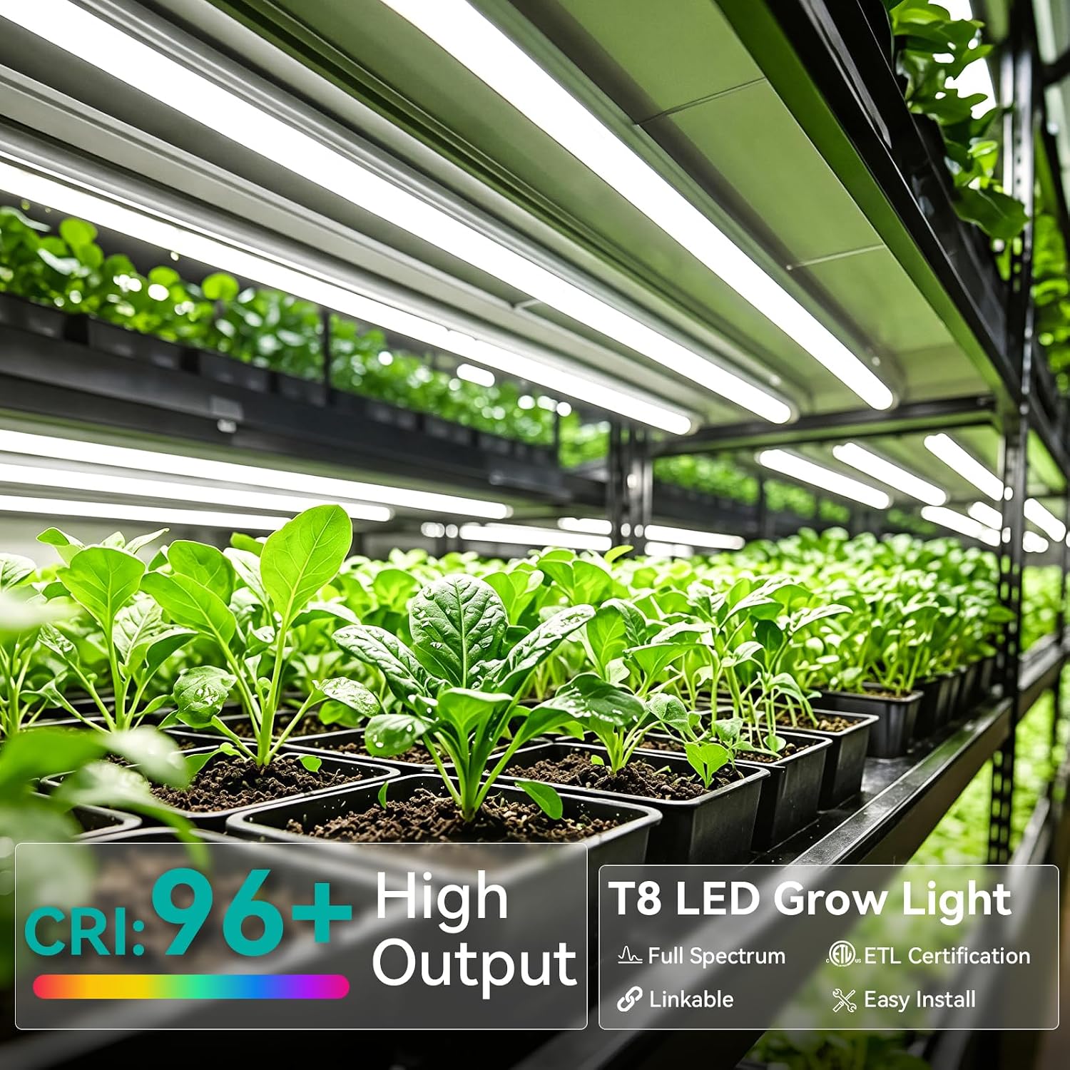 JESLED 4FT Grow Lights, 5000K Full Spectrum Sunlight White, V-Shaped Beam | 96W(2 X 48W), 600W Equiv, On/Off Switch, T8