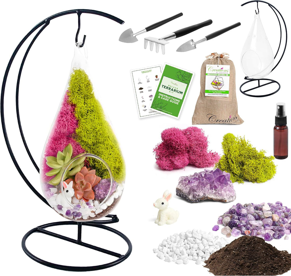 Creations by Nathalie DIY 7" DIY Teardrop Terrarium Kit - Build Your Own Glass Terrarium for Adults & Teens with Moss
