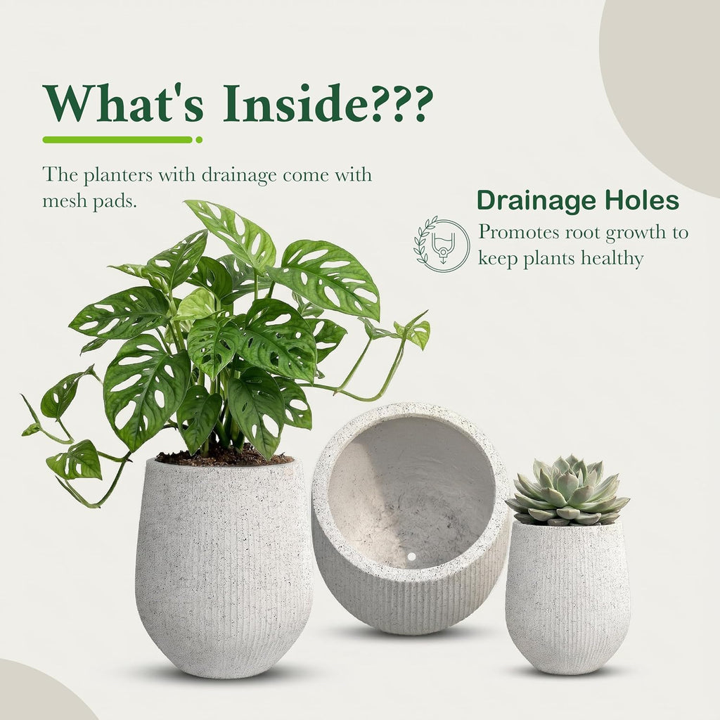 DTY Signature Mount Wilson Modern Indoor Outdoor Fiberstone Tapered Planter, Lightweight, Weather Resistant Garden Pot