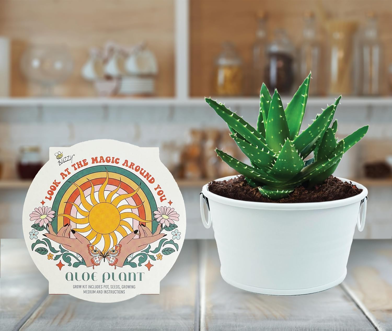 Buzzy Seeds Cactus, Moss Rose & Aloe Grow Kit 3-Pack - Ceramic Planter - Complete Indoor Gardening Kit with Seeds