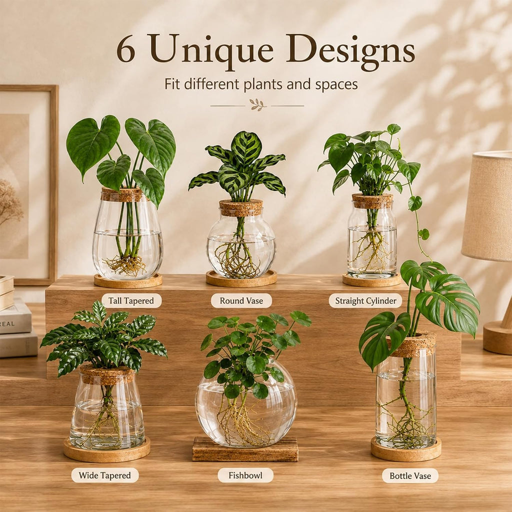 6 Pcs Plant Propagation Station Set, Glass Propagation Vases with Wooden Lids and Bamboo Bases, Plant Propagation Jars