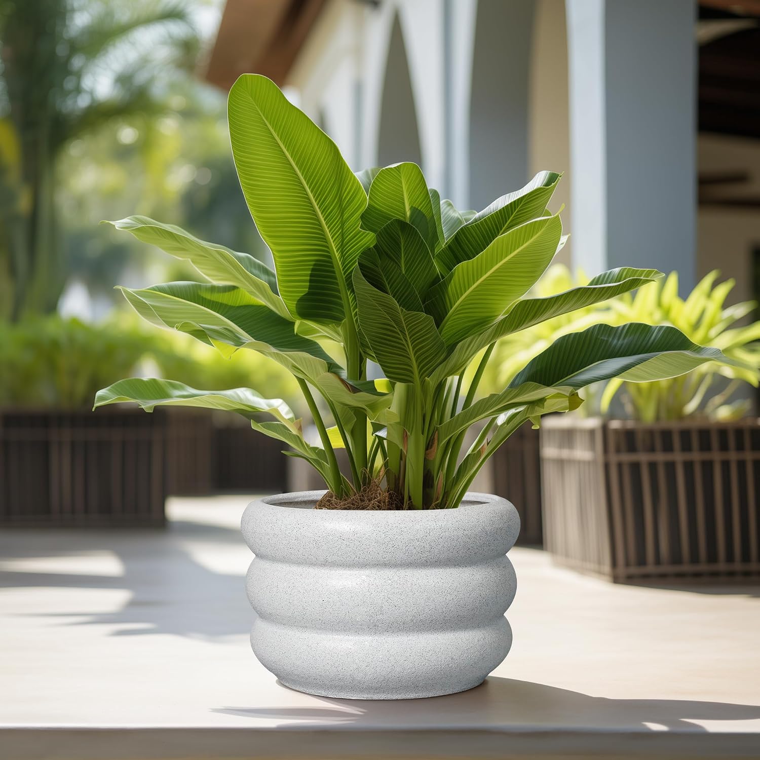 SQOWL Ceramic Planter Pot 13.5 Inch - Plant Pot Indoor with Drainage Hole Large Flower Pot Outdoor Modern Planter House
