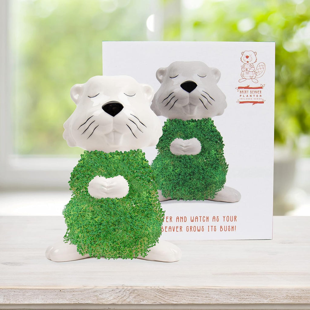 Gift Republic Hairy Beaver Chia Planter Desktop Chia Animal Funny Grow Kit Gift Idea