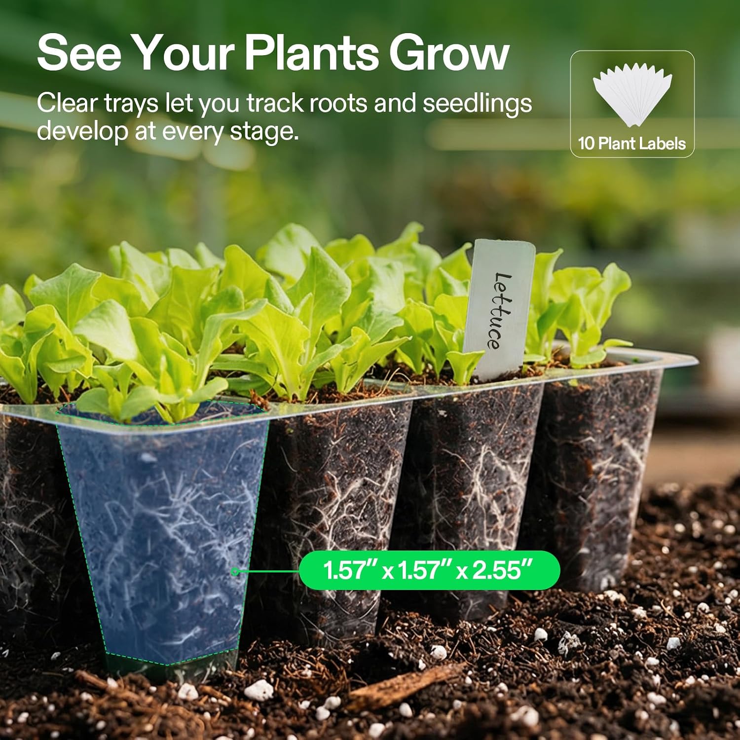VIVOSUN 6-Pack Seed Starter Trays & 10"x20.75" Seedling Heat Mat | Self-Adjusting Digital Display Temperature