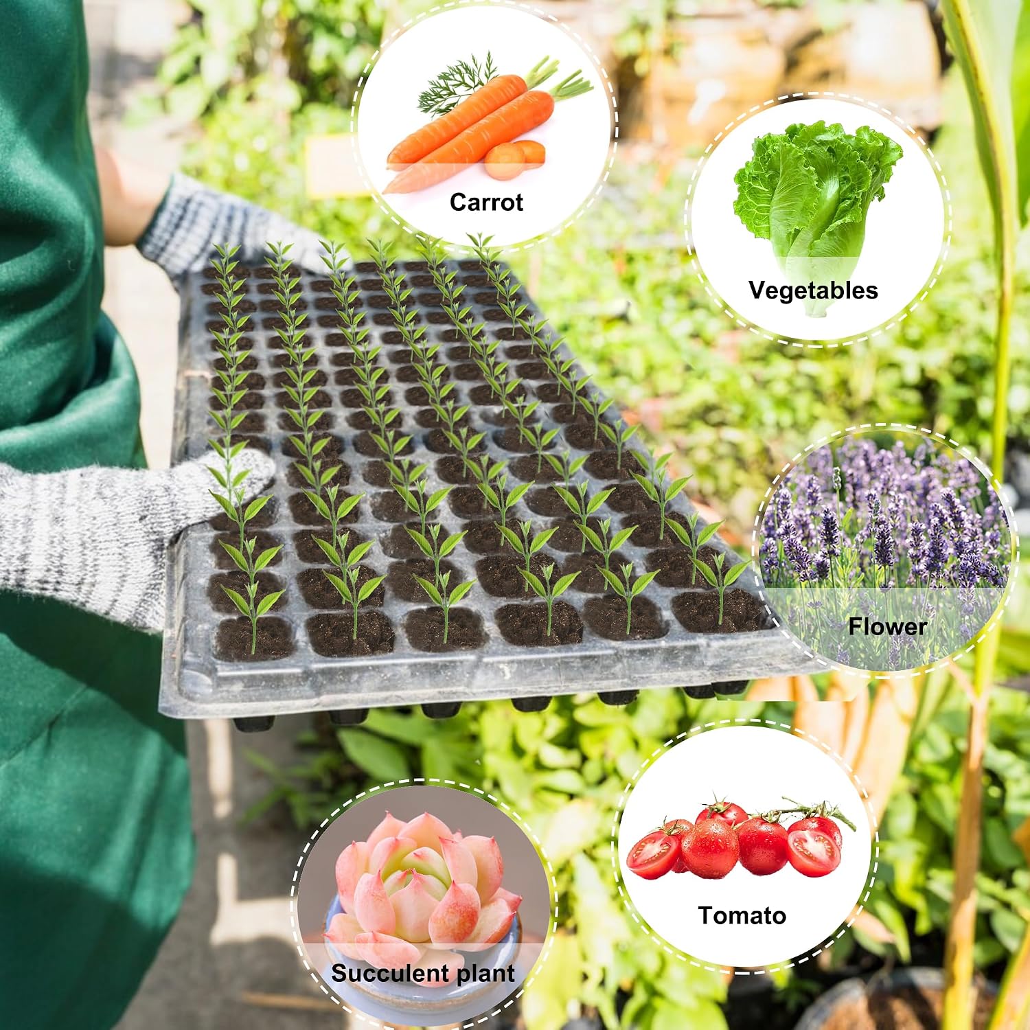 200 Cell Seed Starter Trays with Dibber – 20 Pack Reusable Seedling Trays for Germination Propagation, 200 Hole Soil
