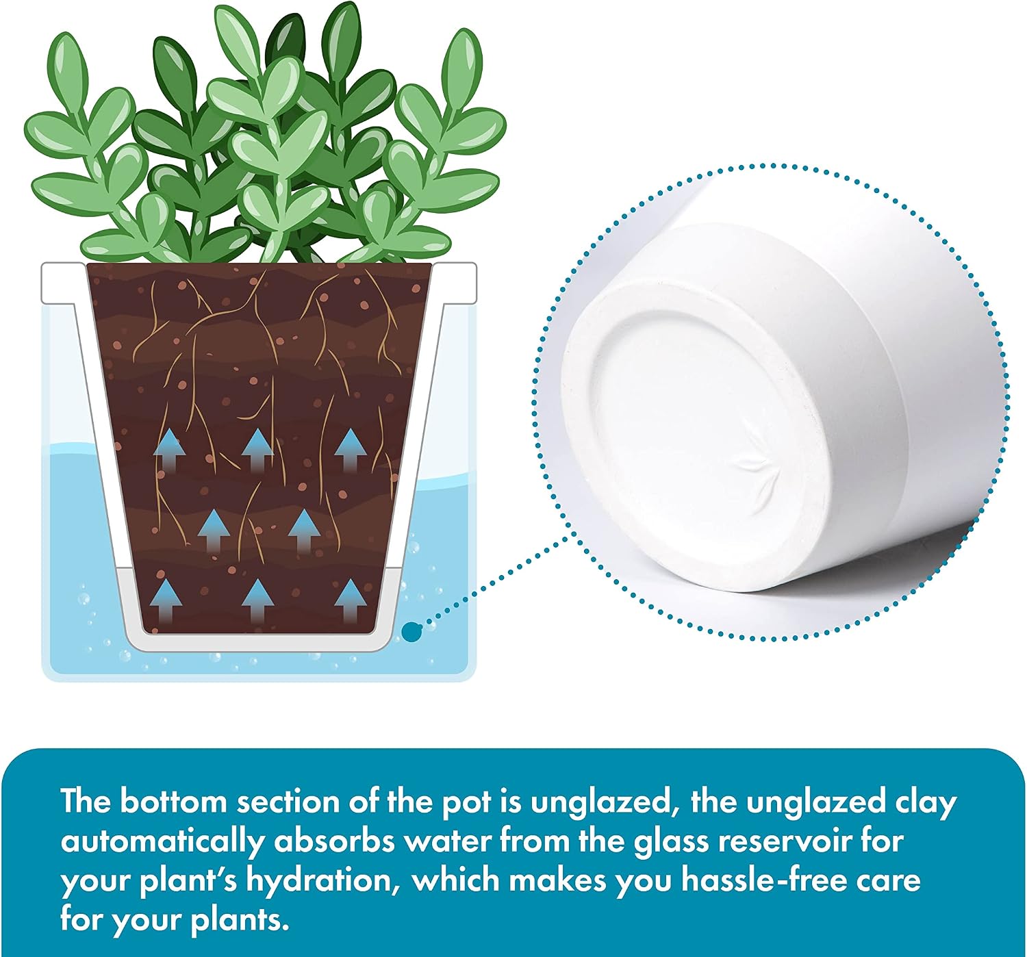 D'vine Dev Self-Watering White Terracotta Planter, 4 in, 2-Pack, 37-Y-A-2 | Terracotta & Glass Design, Clear Water