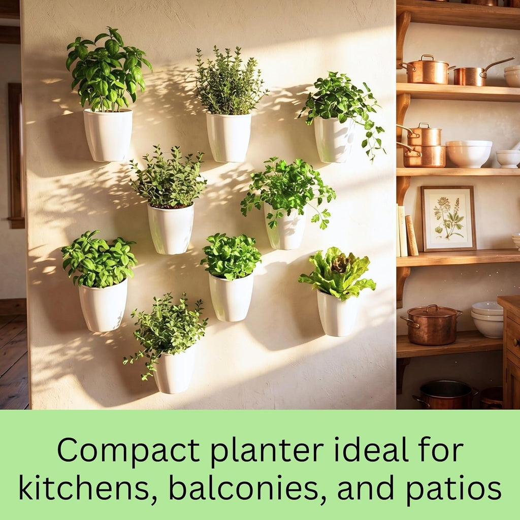 LaLaGreen Wall Planter for Indoor Plants (5in, 10 Pack) White Self-Watering | Wall Mounted Living Hanging Eco Wall