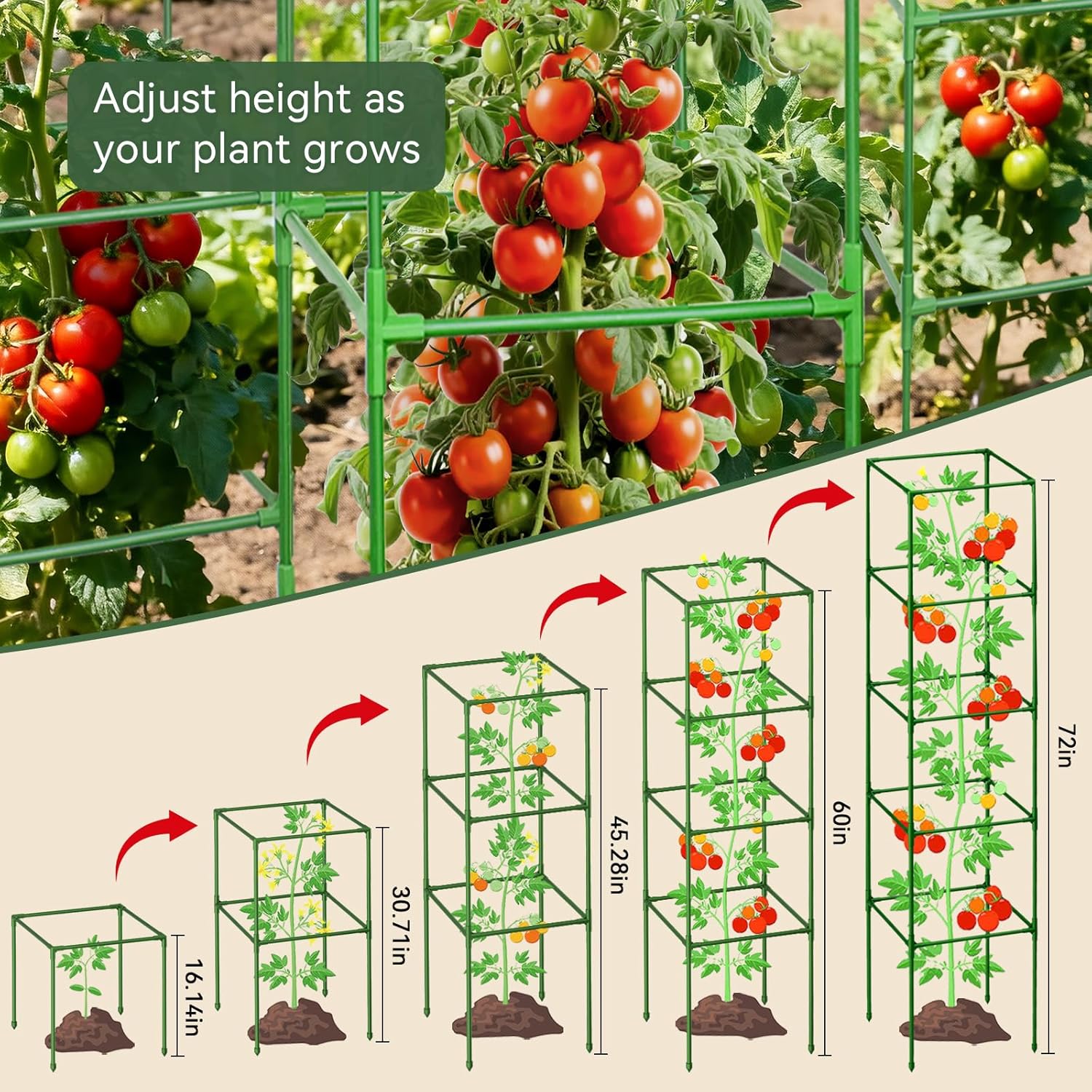 4 Pack 72" Tomato Cages for Garden, Heavy Duty Adjustable Plant Support | For Climbing Plants and Vegetables