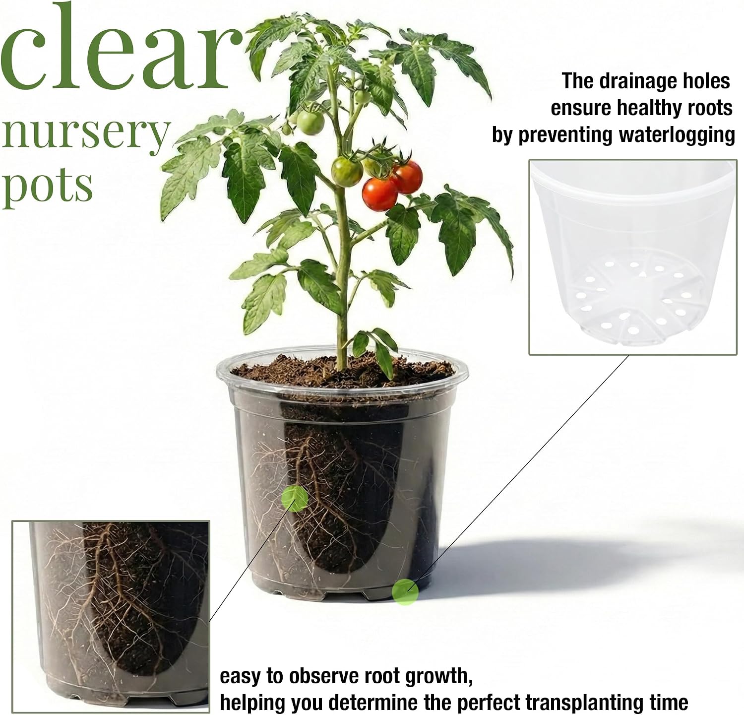 Clear Nursery Pots with Drainage, 81 Pcs Set, 4/5/6 Inch Plastic Pots for Indoor Plants, Seed Starter Kit with Plant