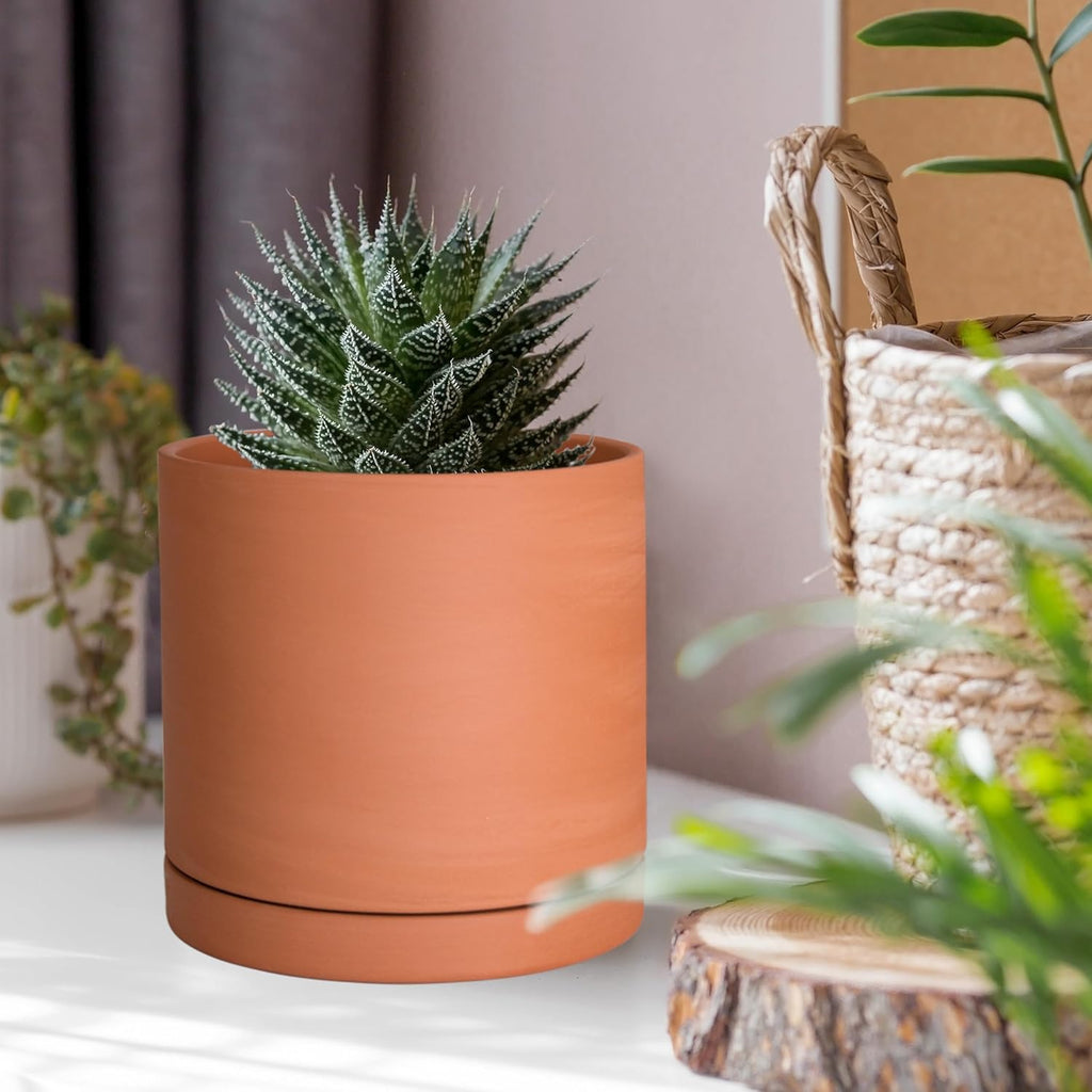 D'vine Dev 2-Pack Terracotta Plant Pots with Saucers, 4 Inch, 40-X-B-1 | Cylinder Shape, Timeless Style, Unglazed