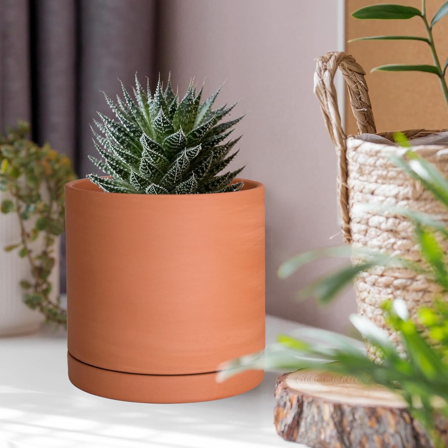 D'vine Dev 2-Pack Terracotta Plant Pots with Saucers, 4 Inch, 40-X-B-1 | Cylinder Shape, Timeless Style, Unglazed