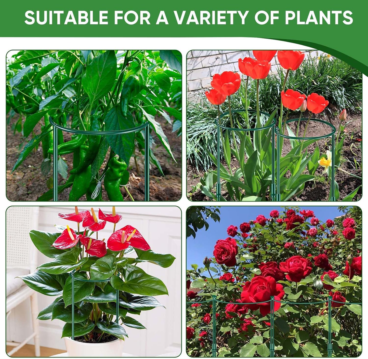 6 Pack 32 or 16 inch Adjustable Plant Support Stakes, Heavy-Duty Half Round Peony Support, Garden Plant Stakes Cage for