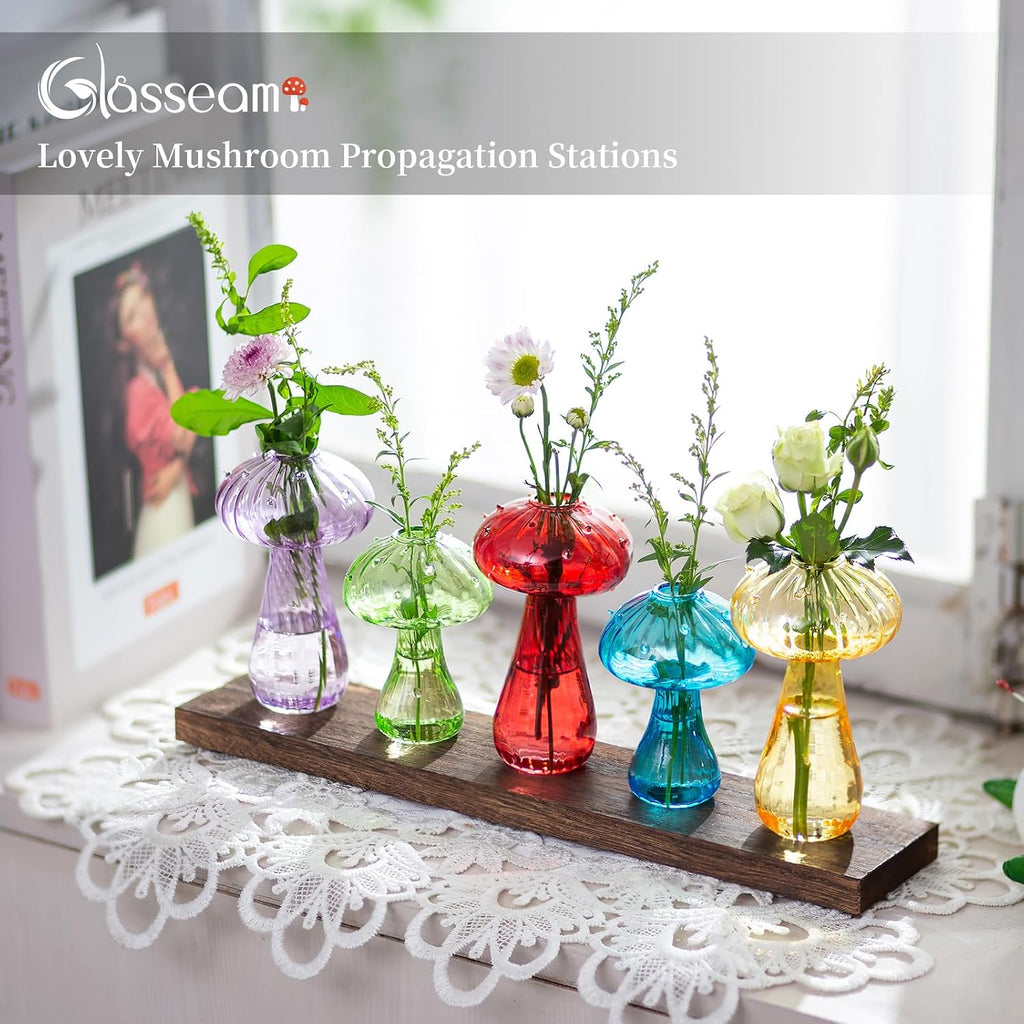 Glasseam Mushroom Propagation Station, Glass Plant Terrarium Jars with Tray | Colorful Small Hydroponic Planter, Pothos