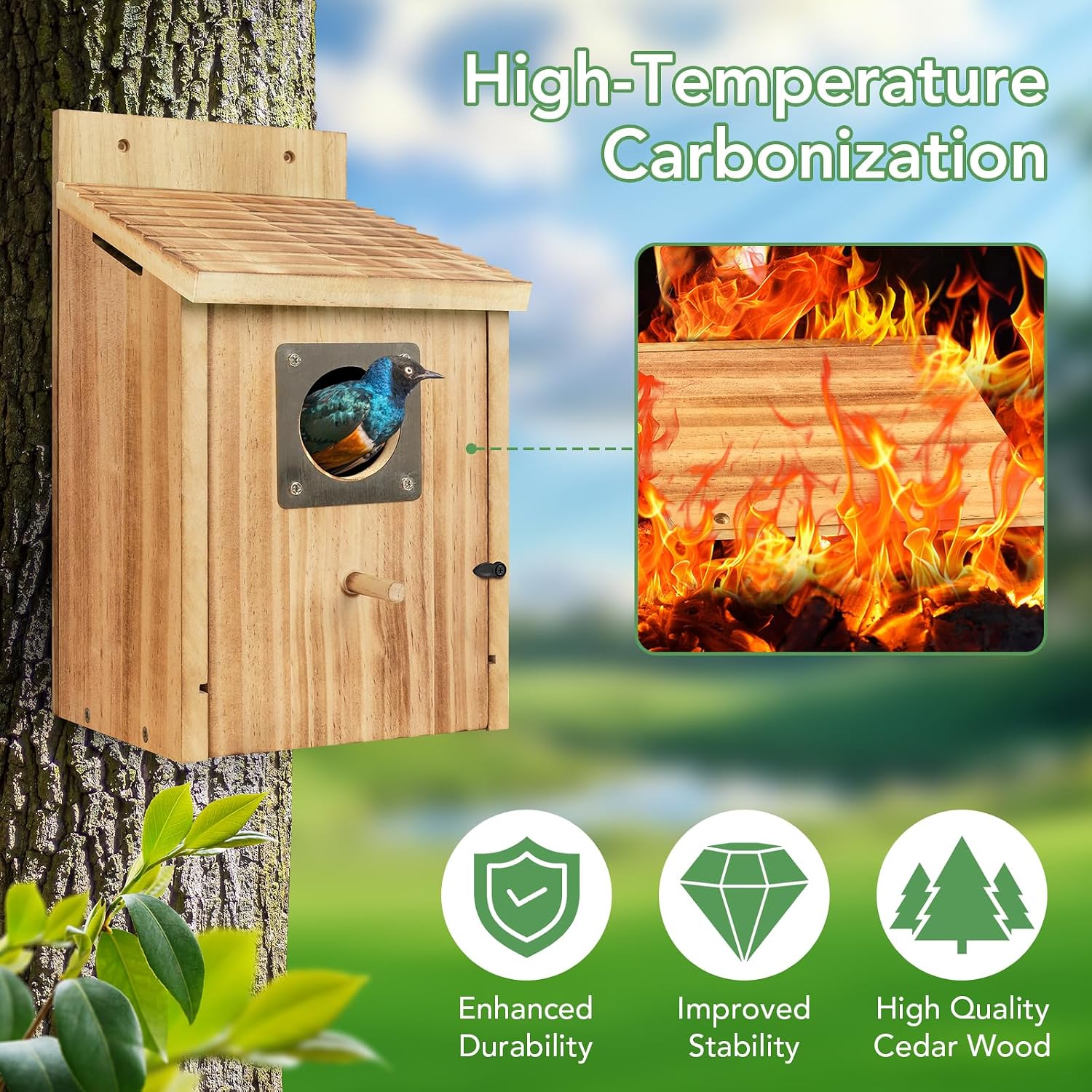 2 Pack Bird Houses for Outside, 1-1/2" Entrance Cedar Birdhouse | Outdoor Bird House with Metal Predator Guard