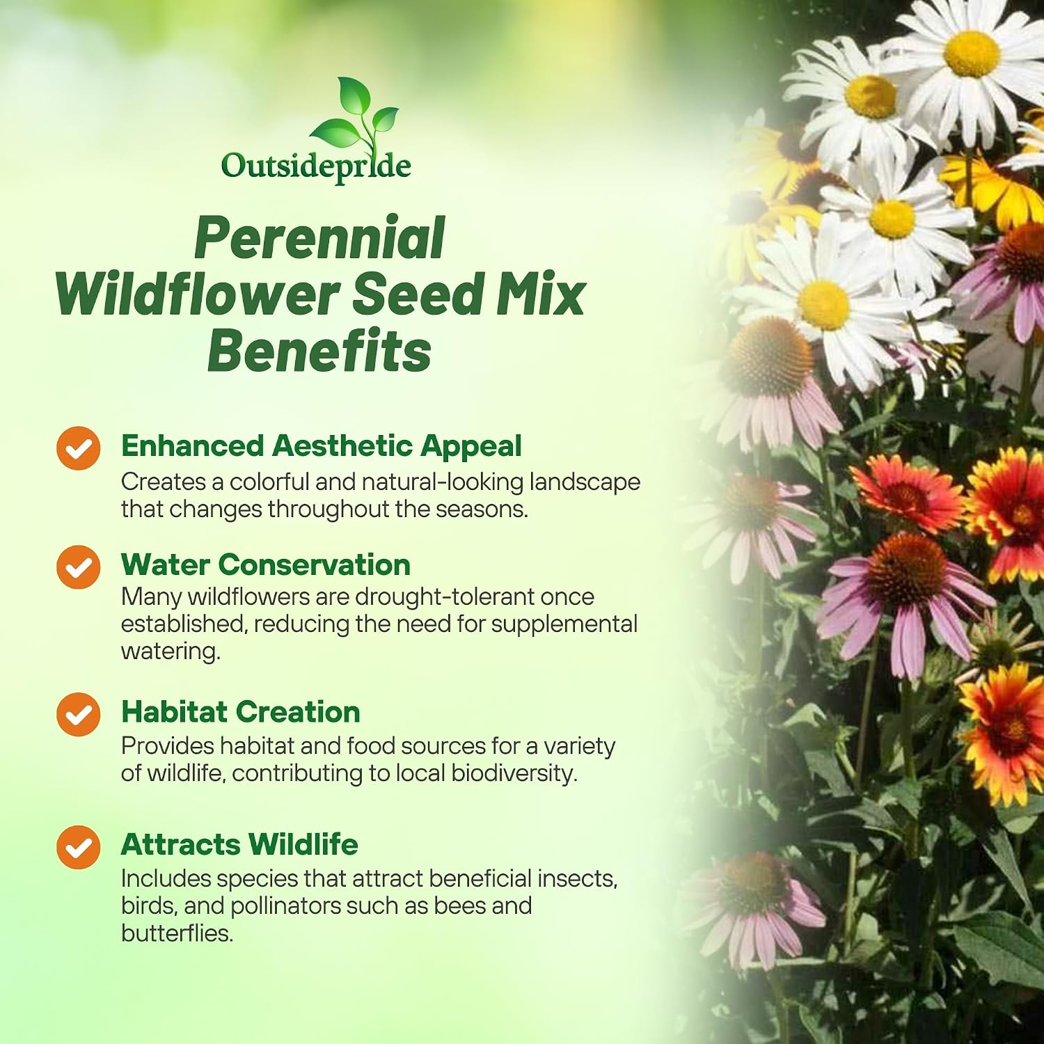Outsidepride Perennial Wild Flower Seed Mix - 1 lb. Diverse, Long-Lasting Blooms, Easy to Grow Perennial Flower Seeds