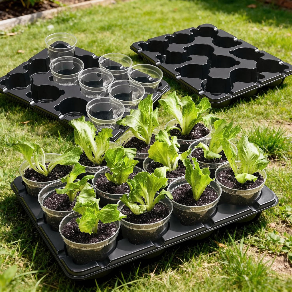 4 Inch Seed Starter Trays 2 Pack with Humidity Dome | 12-Cell Seedling Starter Trays, Plant Starter Germination Trays