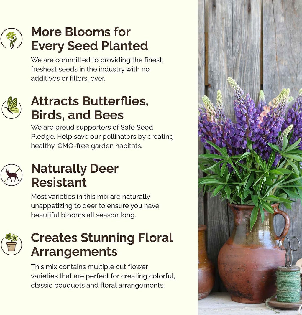 Eden Brothers Midwest All Perennial Wildflower Mixed Seeds, 5 lb | Mixed Seeds for Planting, 2,400,000+ Seeds with