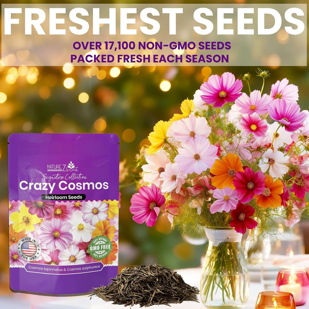 NatureZ Edge, Crazy Cosmos Seeds for 2026, 17,100 Cosmos Seed, 1/4 lb, Made In USA, Annual Cut Flowers, Wildflower