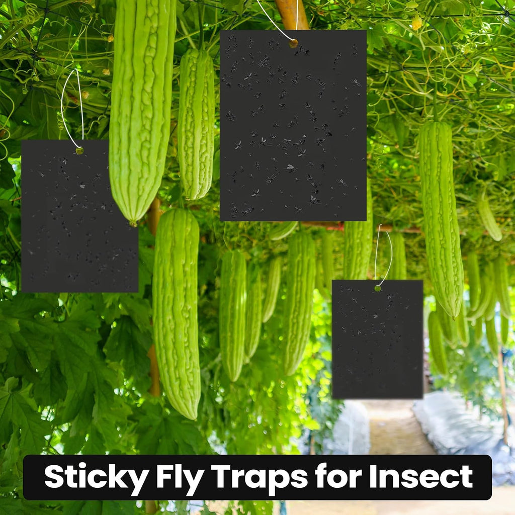 Qualirey 50 Pcs Sky Blue Sticky Traps 6x8in for Gnats Indoor | Dual-sided for Fungus Gnats Fruit Flies Whiteflies