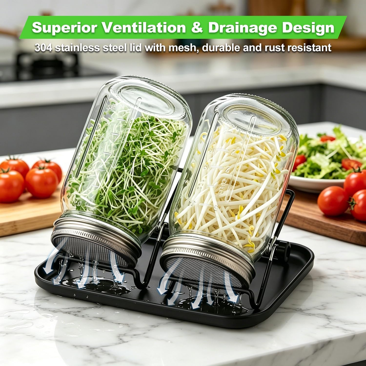Sprouting Jar Kit 4 PCS 1000ml(35oz) Wide Mouth Mason Jars with 304 Stainless Steel Sprout Lids Drain Tray Stainless