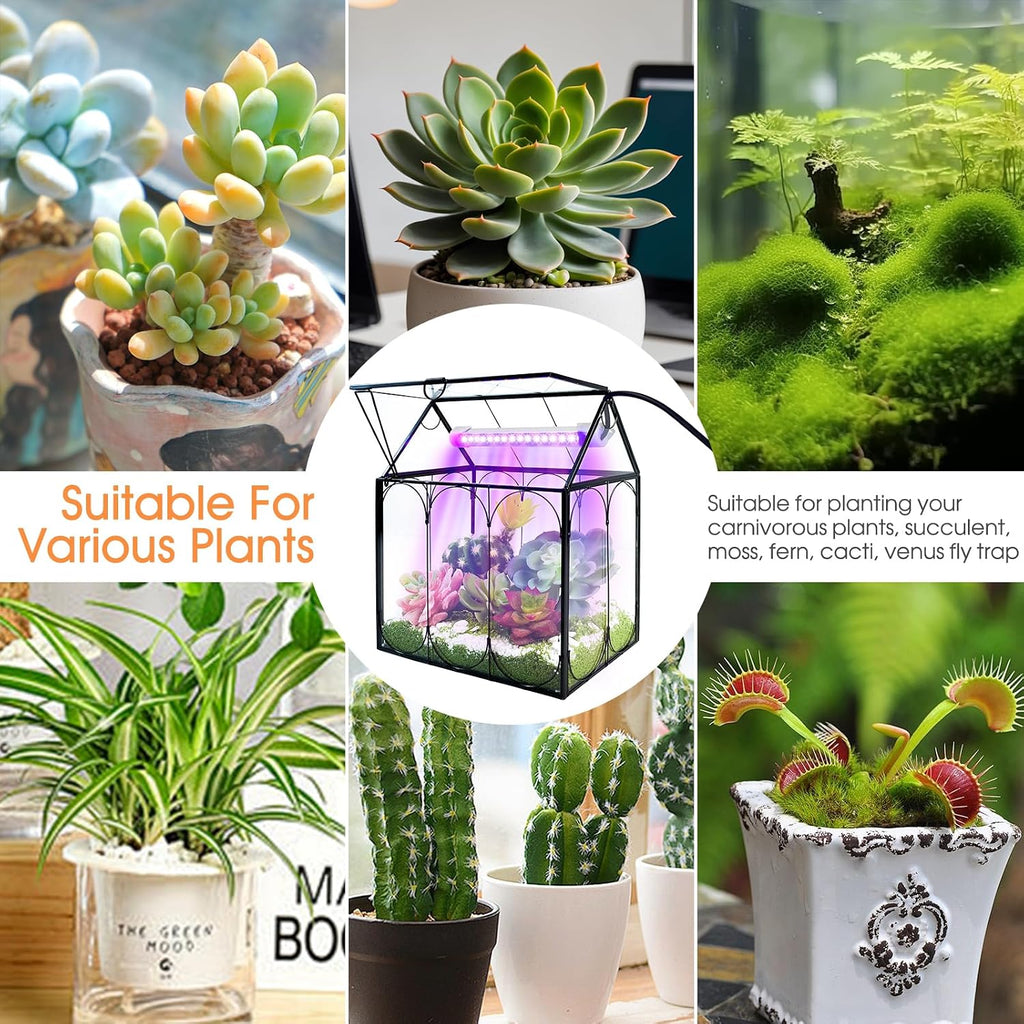 RIFNY Plant Terrarium with Grow Light, Glass Terrarium 7.1 x 4.8 x 8.8 Inch | Terrarium with LED Grow Light and