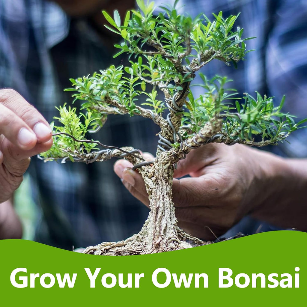 Bonsai Tree Kit, Bonsai Starter Kit with Seeds & Tools, Tree Live Plants Indoor, Gardening Gifts for Women Men Mom