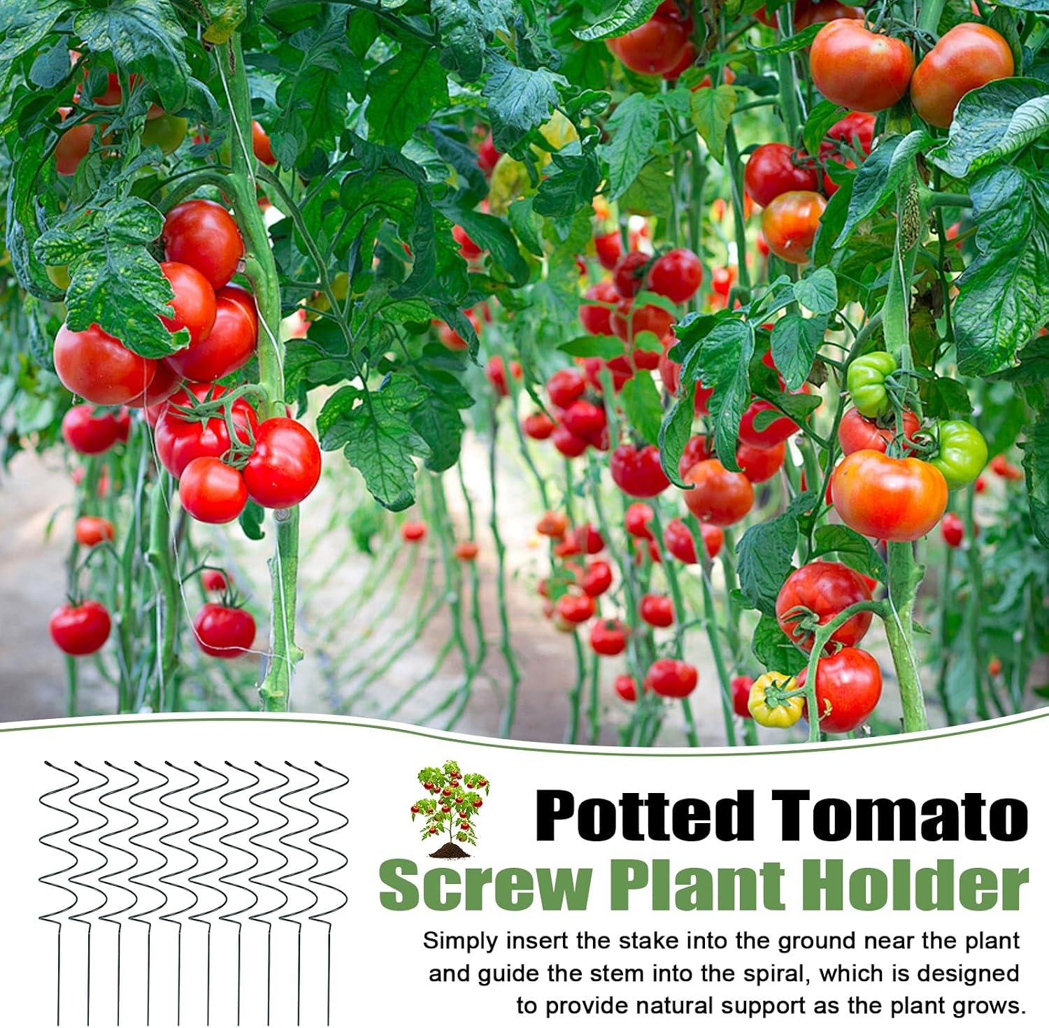 10 Pack Tomato Twist Stake, Spiral Tomato Stakes for Indoor Outdoor, Spiral Garden Stakes for Climbing Plants
