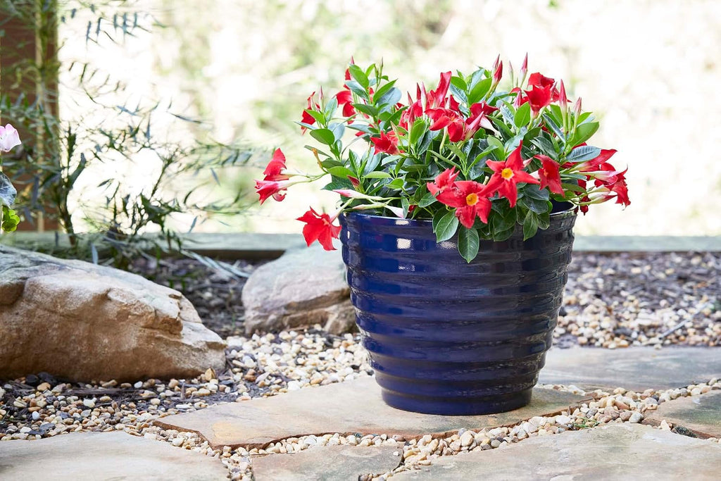 Southern Patio 14" Beehive Resin Indoor Pot Planter, 19.03 qt. Capacity