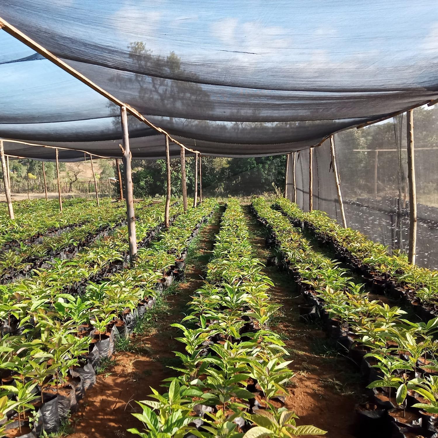 40% Shade Cloth for Plants, 8X25Ft Greenhouse Shade Cloth, Plant Shade Cover from Sun, Outdoor Mesh Tarp for Garden