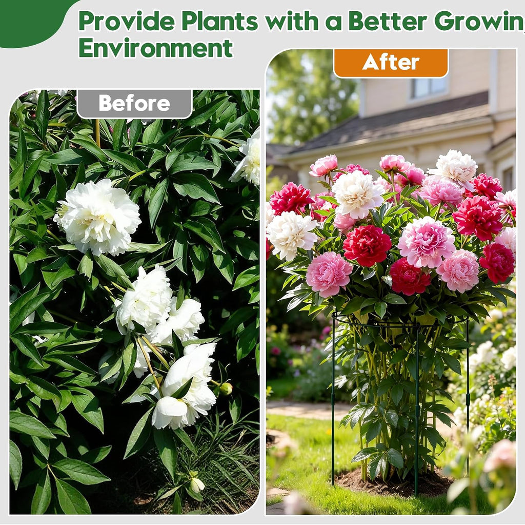 KEOHOLI 8 Pack 11.5" Dx24 H Pack Peony Cages Set Higher Peony Cages and Supports Heavy Duty Metal Plants Support Cage