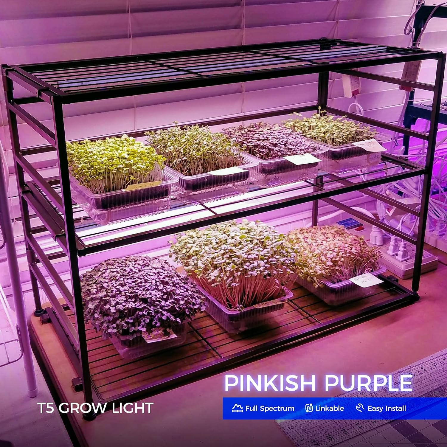 Barrina T5 Grow Lights for Indoor Growth, 4FT Plant Lights, Pink, 8 Packs | 160W (8 x 20W), Grow Light Strip, Plug and